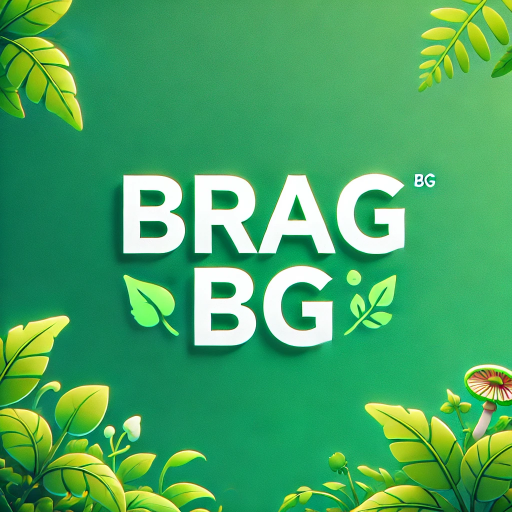 bragbg Cassino Online